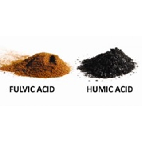 Humic Substances và Sự Tương Tác Với Các Hợp Chất Hữu Cơ Khác Trong Quá Trình Hình Thành Đất