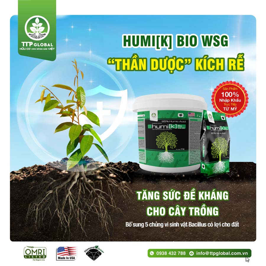 Humic Mỹ giúp kích rễ