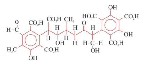 Axit humic kích thích tăng trưởng cây trồng như thế nào?