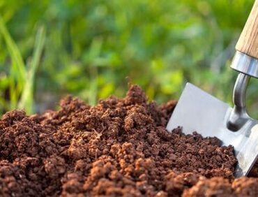 Humic Substances là gì và vai trò của chúng trong nông nghiệp?