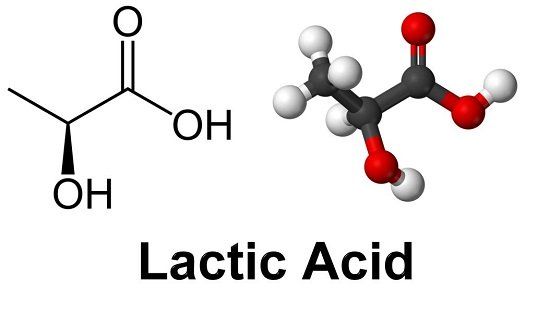 Nghiên Cứu Về Cơ Chế Của Humic Substances Trong Việc Cải Thiện Cấu Trúc Đất và Thông Thoáng Đất