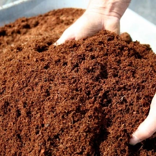 Những lợi ích đáng kể của Humic Substances đối với đất trồng