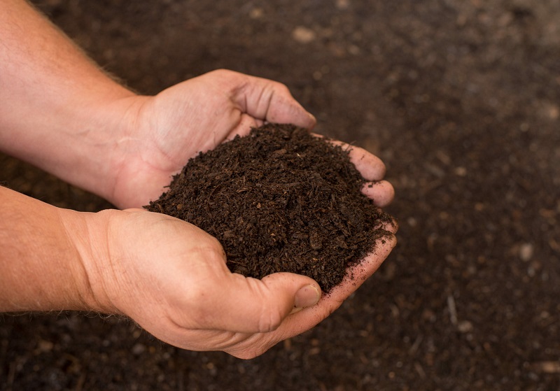 Sử dụng Humic Substances như thế nào để tối ưu hóa năng suất cây trồng?