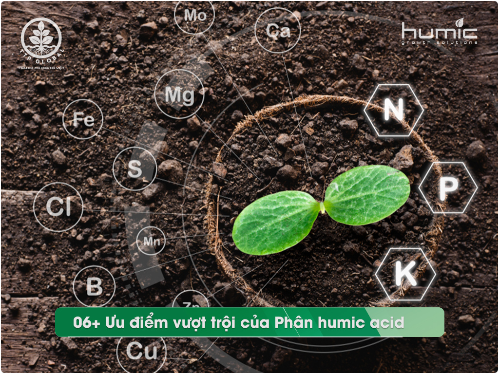 Acid humic và cải thiện khả năng phân hủy của vi khuẩn đất