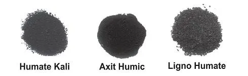 Acid humic và tác động lên sự phát triển của nấm bán sinh học