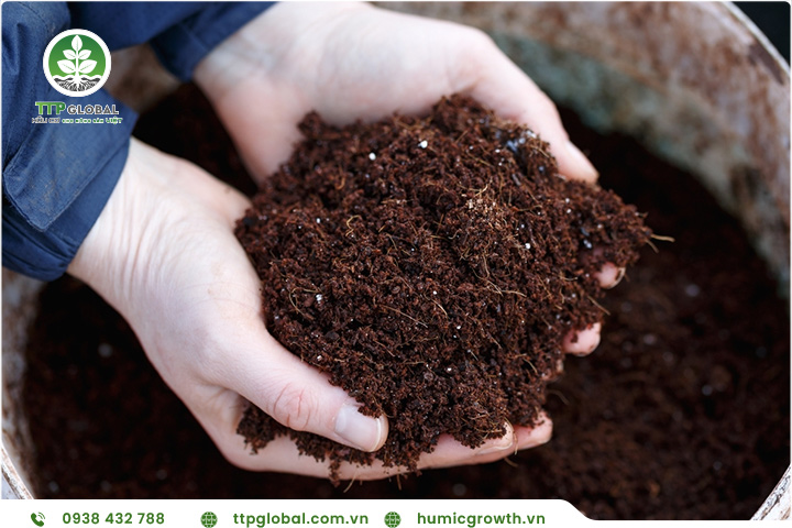 Acid humic và tăng cường khả năng hấp thụ đạm của cây trồng