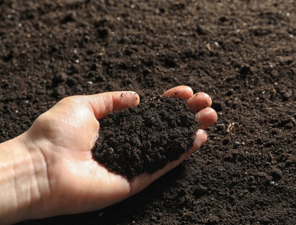 Acid humic và tối ưu hóa quá trình quản lý nước trong nông nghiệp