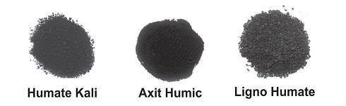 Humic giúp cây trồng chống chịu hạn hán và sâu bệnh