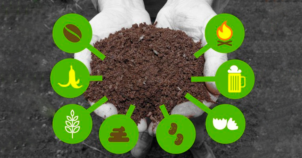 Mua phân bón Humic ở đâu uy tín