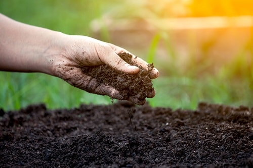 Phân bón Humic cải thiện cấu trúc đất như thế nào?