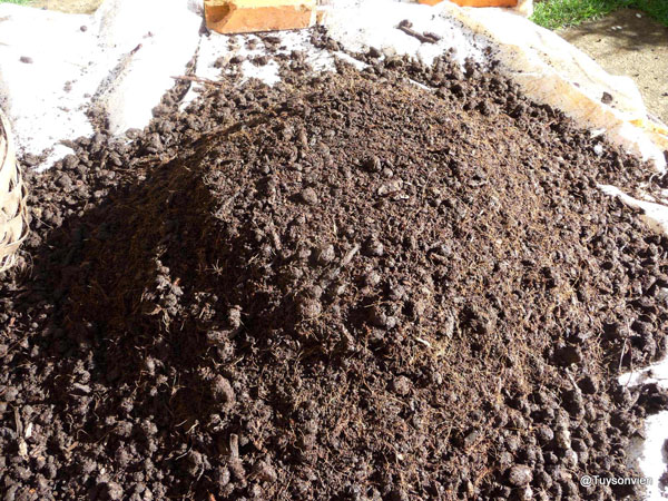 Tăng năng suất cây trồng với phân bón Humic