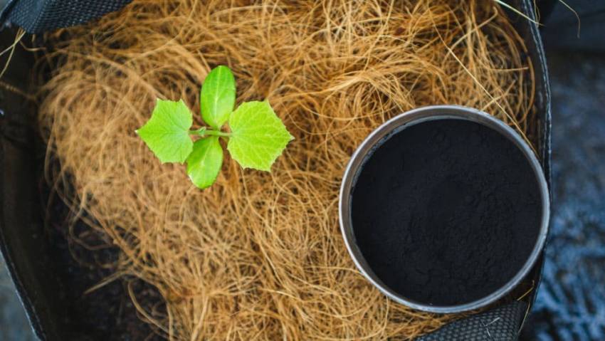 Tối ưu hóa sự phân hủy chất hữu cơ trong đất với acid humic