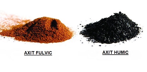 Sử dụng acid humic để cải thiện cấu trúc và phân bố đất